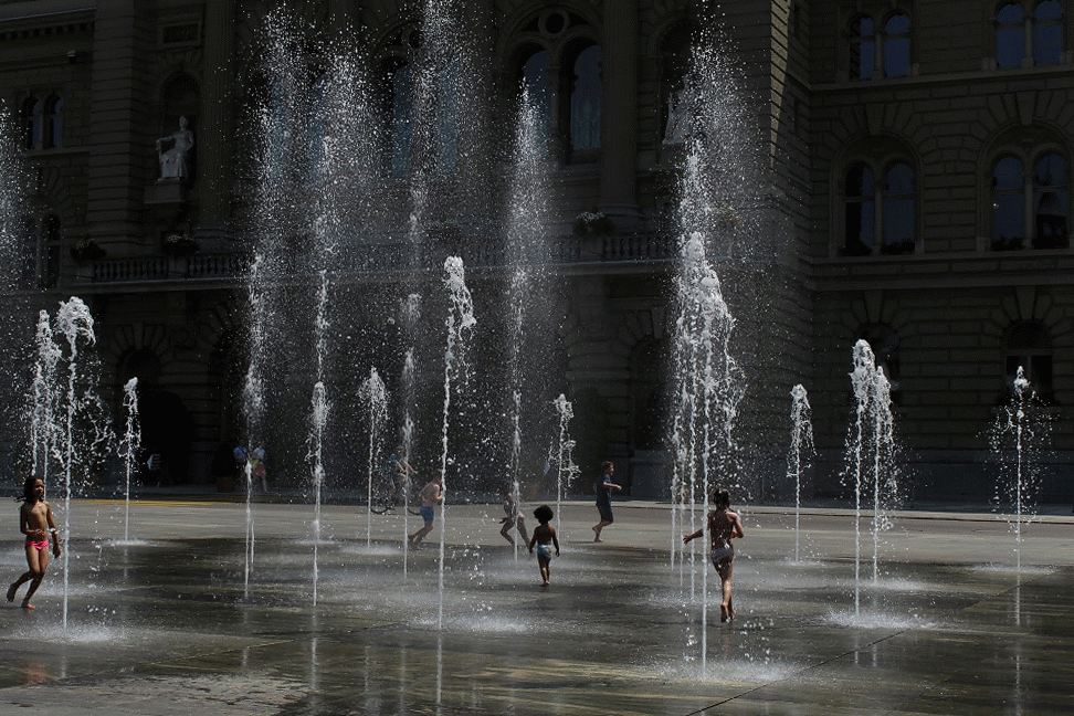 IMG_2359-MOTION